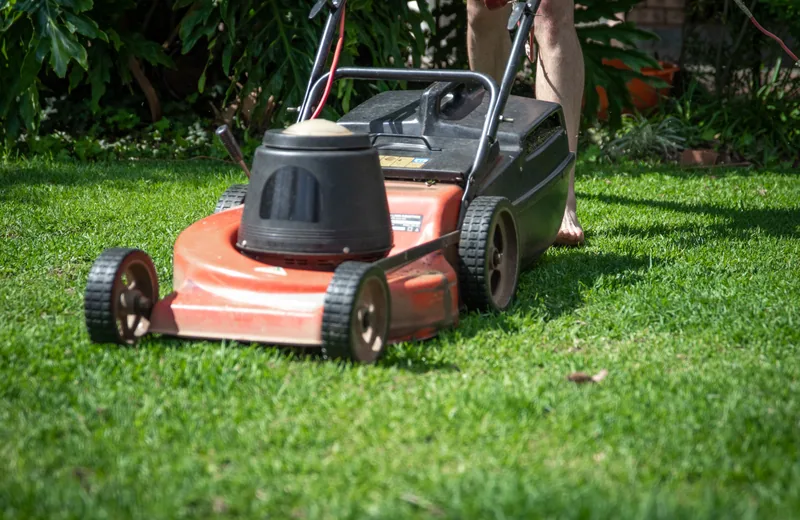 A lawn mower cutting a green residential lawn